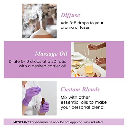 Handcraft Blends Lavender Essential Oil - Huge 4 Fl Oz - 100% Pure and Natural - Premium Grade with Glass Dropper