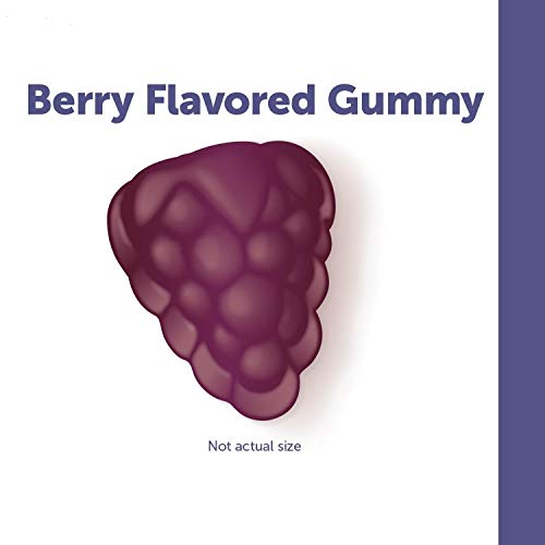 Nature’s Way Sambucus Elderberry Immune Gummies, Daily Immune Support for Kids and Adults*, with Vitamin C, Vitamin D3, Zinc, Gluten Free, Vegetarian, 60 Gummies (Packaging May Vary)