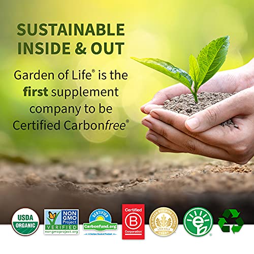Garden of Life Vitamin B Complex - Vitamin Code Raw B Complex - 120 Vegan Capsules, High Potency B Complex Vitamins for Energy & Metabolism with B6, Folate & B12 as Methylcobalamin plus Probiotics