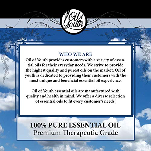 Oil of Youth Essential Oils 8oz - Helichrysum Essential Oil - 8 Fluid Ounces - Helichrysum Oil - Helichrysum Essential Oil Bulk