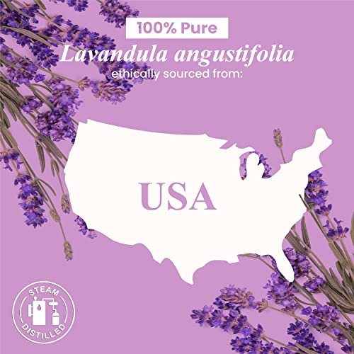 Handcraft Blends Lavender Essential Oil - Huge 4 Fl Oz - 100% Pure and Natural - Premium Grade with Glass Dropper