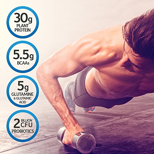 Organic Vegan Sport Protein Powder, Chocolate - Probiotics, BCAAs, 30g Plant Protein for Premium Post Workout Recovery, NSF Certified, Keto, Gluten & Dairy Free, Non GMO, Garden of Life - 19 Servings
