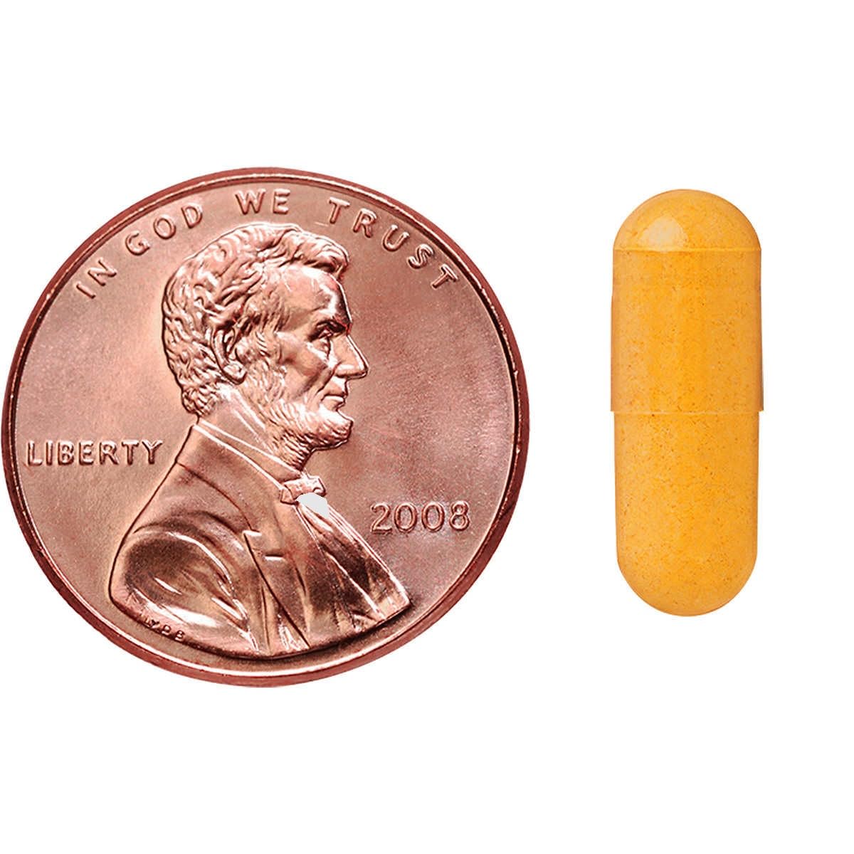 Kirkland Signature Turmeric 1000 mg., 240 Capsules