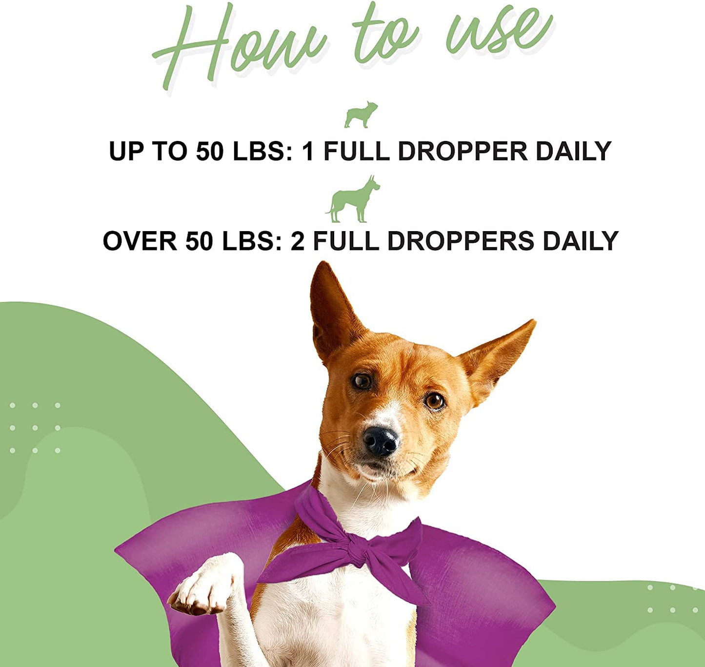 Wonder Paws Milk Thistle, Liver Support for Dogs, Supports Kidney Function for Pets, Detox, Hepatic Support, with Wild Alaskan Salmon Oil & Curcumin, Omega 3 EPA & DHA (2, Ounces)