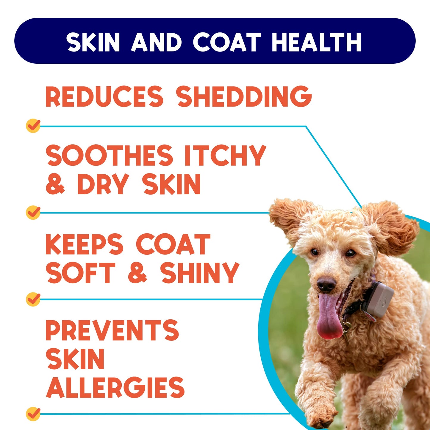 GOODGROWLIES Omega 3 Fish Oil for Dogs (32oz) - Skin & Coat Health - Dry & Itchy Skin Relief + Allergy Support - Shiny Coat - EPA&DHA Fatty Acids - Salmon Oil Promotes Heart, Hip & Joint Support