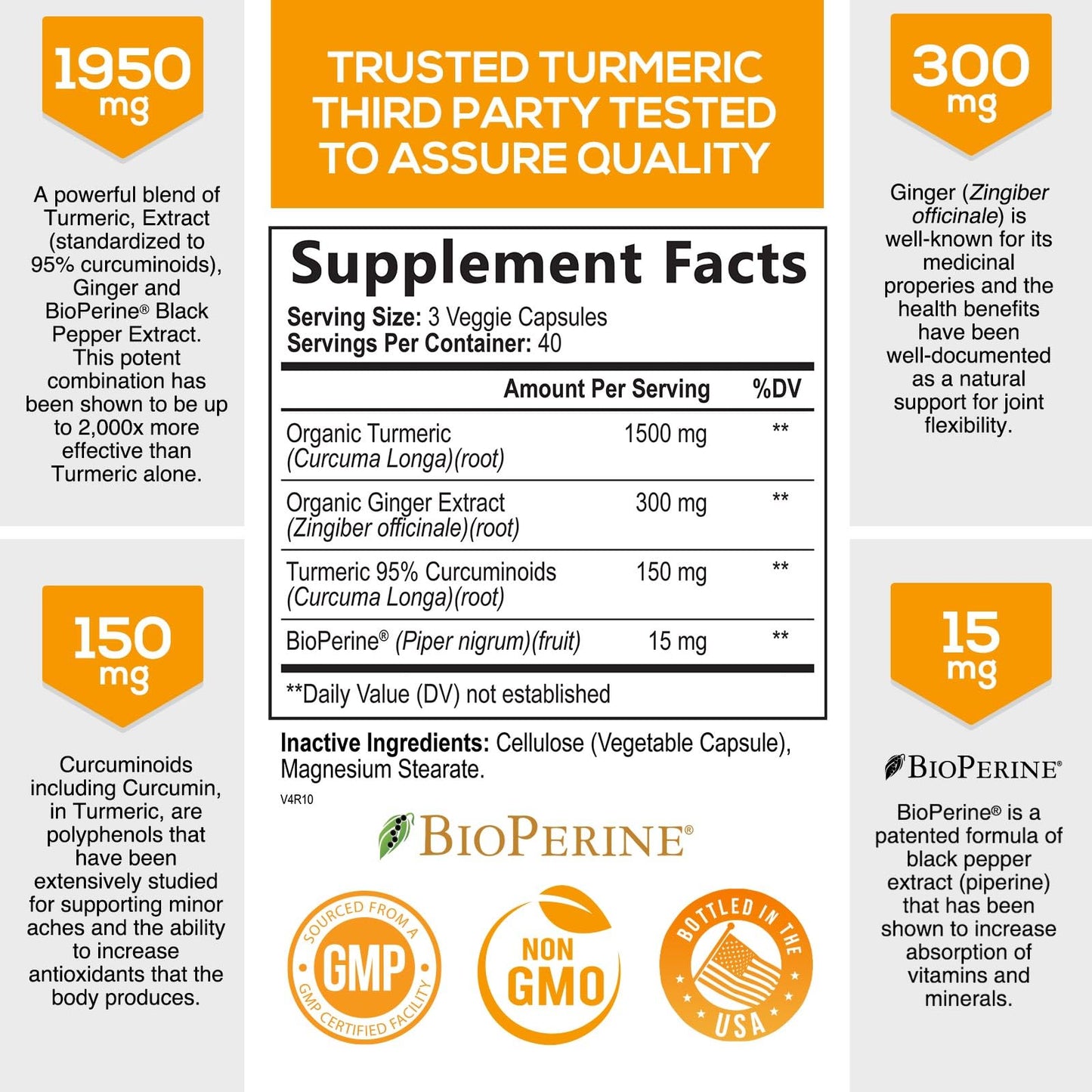 Turmeric Curcumin with BioPerine & Ginger 95% Curcuminoids 1950mg - Black Pepper Extract for Max Absorption, Nature's Joint Support Supplement, Herbal Turmeric Pills, Vegan Non-GMO - 120 Capsules