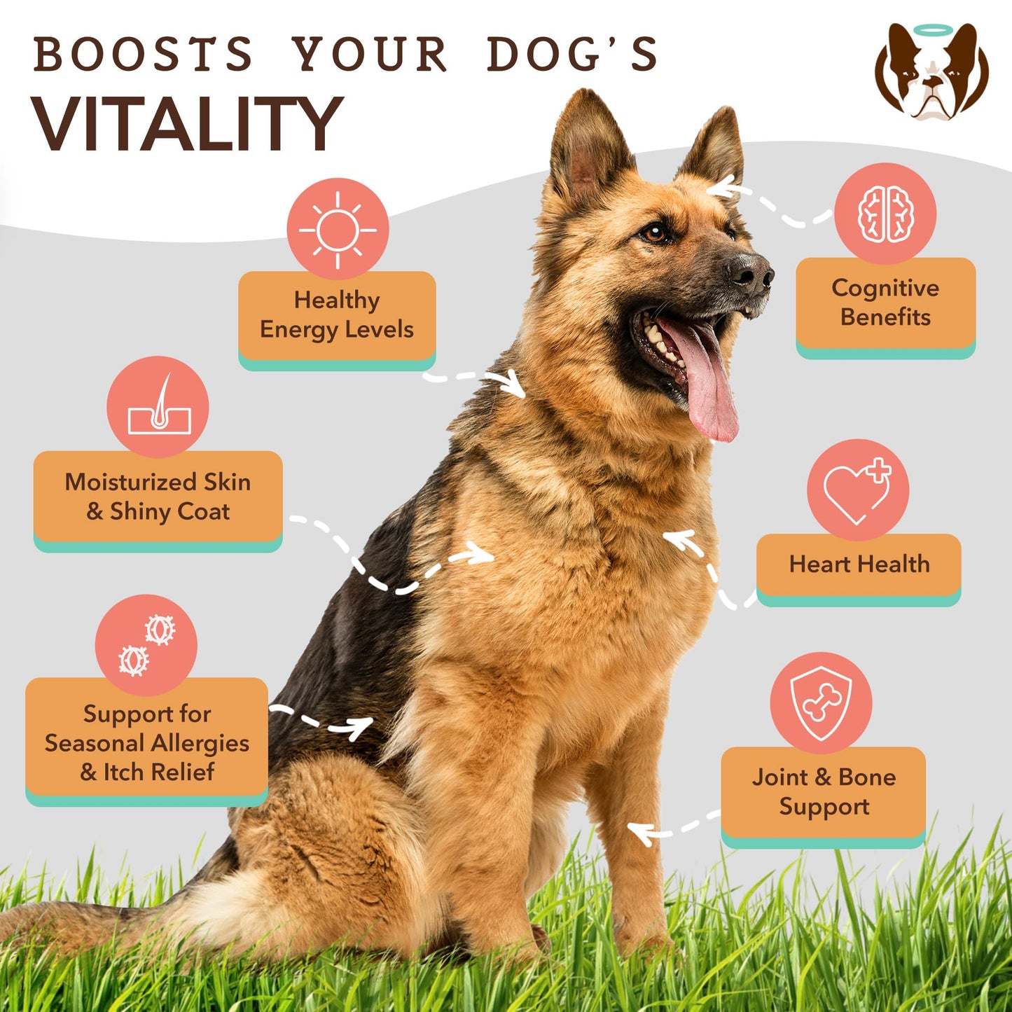 Natural Dog Company Pure Wild Alaskan Salmon Oil for Dogs (16oz) Skin & Coat Supplement for Dogs, Dog Oil for Food with Essential Fatty Acids, Fish Oil Pump for Dogs, Omega 3 Fish Oil for Dogs