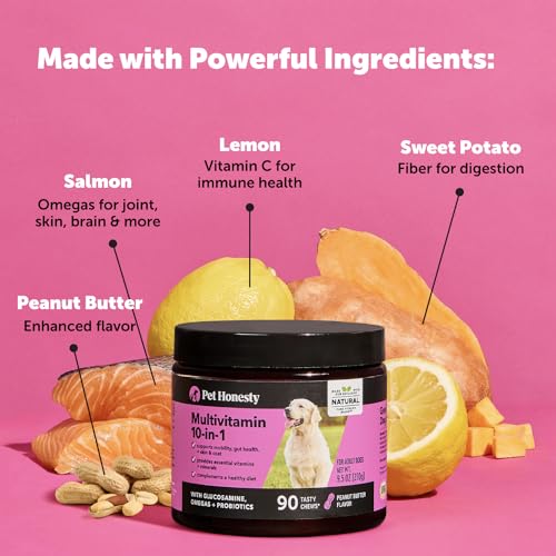 Pet Honesty Multivitamin Dog Supplement, Glucosamine chondroitin for dogs, Probiotics, Omega Fish oil, dog supplements & vitamins, dog vitamins for skin and coat allergies, (Peanut Butter 90 ct)