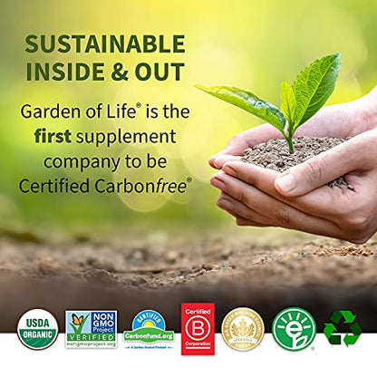 Organic Vegan Sport Protein Powder, Chocolate - Probiotics, BCAAs, 30g Plant Protein for Premium Post Workout Recovery, NSF Certified, Keto, Gluten & Dairy Free, Non GMO, Garden of Life - 19 Servings