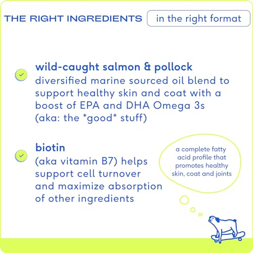 Native Pet Omega 3 Fish Oil for Dogs - Made with Wild Alaskan Salmon Oil with Omega 3 EPA DHA - Supports Itchy Skin + Mobility - Liquid Pump is Easy to Serve - a Fish Oil Dogs Love! (8 oz)