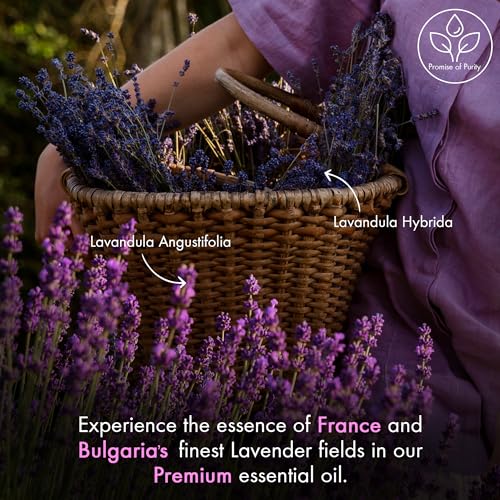 MAJESTIC PURE Lavender Essential Oil - Huge 4 fl oz with Dropper | 100% Pure and Natural Lavender Oil | Premium Grade Essential Oils for Diffusers, Skin, Aromatherapy, Massage