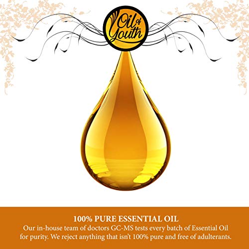 Oil of Youth Essential Oils 8oz - Helichrysum Essential Oil - 8 Fluid Ounces - Helichrysum Oil - Helichrysum Essential Oil Bulk