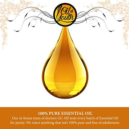 Oil of Youth Essential Oils 8oz - Helichrysum Essential Oil - 8 Fluid Ounces - Helichrysum Oil - Helichrysum Essential Oil Bulk