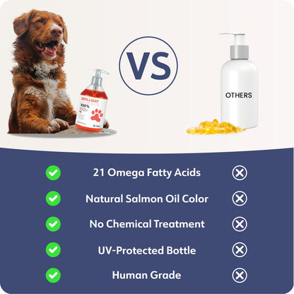 Brilliant Omega 3 Salmon Oil for Dogs & Cats - Norwegian Fish Oil Supplement with EPA & DHA Fatty Acids for Shedding, Allergy, Itching, Dry Skin & Joint Health - Skin and Coat Fish Oil Liquid, 16.9 Oz