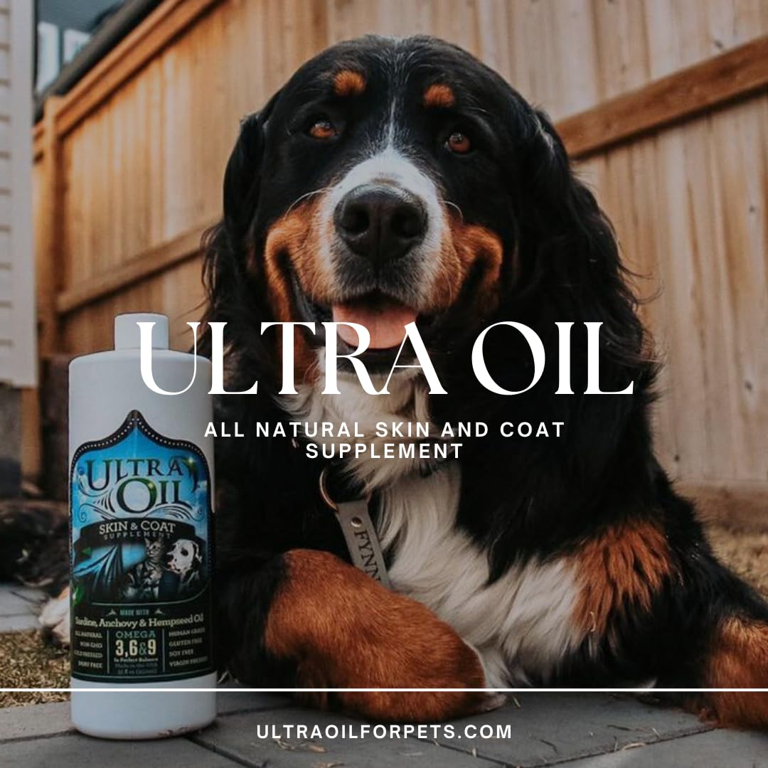 Ultra Oil Skin & Coat Supplement for Dogs & Cats with Hemp, Flaxseed, Grape Seed, Fish Oils - 16oz