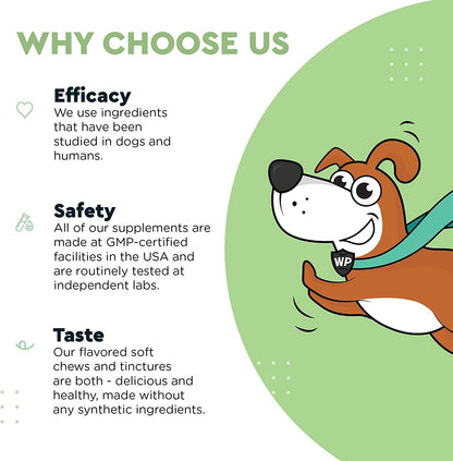 Wonder Paws Milk Thistle, Liver Support for Dogs, Supports Kidney Function for Pets, Detox, Hepatic Support, with Wild Alaskan Salmon Oil & Curcumin, Omega 3 EPA & DHA (2, Ounces)