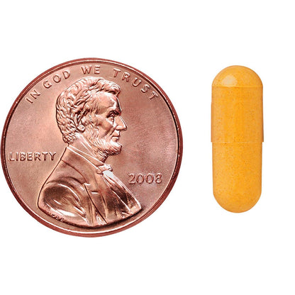 Kirkland Signature Turmeric 1000 mg., 240 Capsules