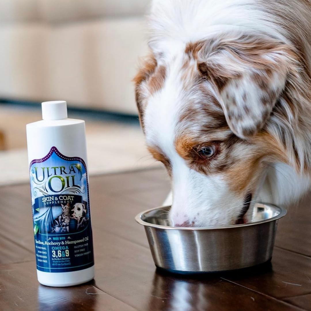 Ultra Oil Skin & Coat Supplement for Dogs & Cats with Hemp, Flaxseed, Grape Seed, Fish Oils - 16oz