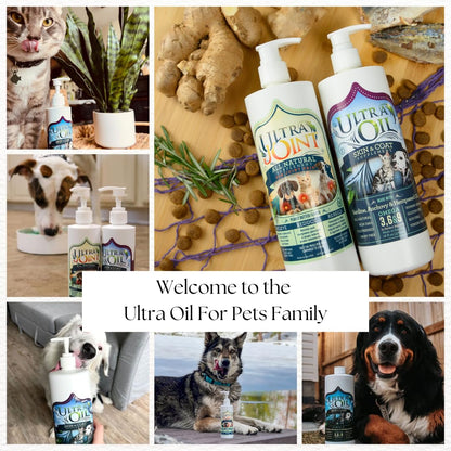 Ultra Oil Skin & Coat Supplement for Dogs & Cats with Hemp, Flaxseed, Grape Seed, Fish Oils - 16oz