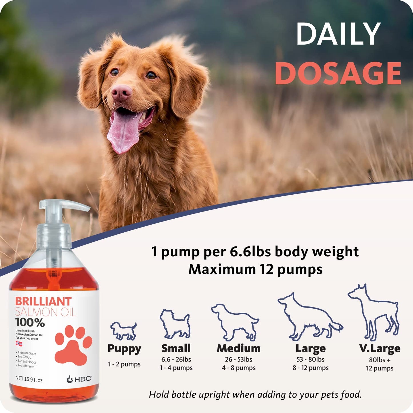 Brilliant Omega 3 Salmon Oil for Dogs & Cats - Norwegian Fish Oil Supplement with EPA & DHA Fatty Acids for Shedding, Allergy, Itching, Dry Skin & Joint Health - Skin and Coat Fish Oil Liquid, 16.9 Oz