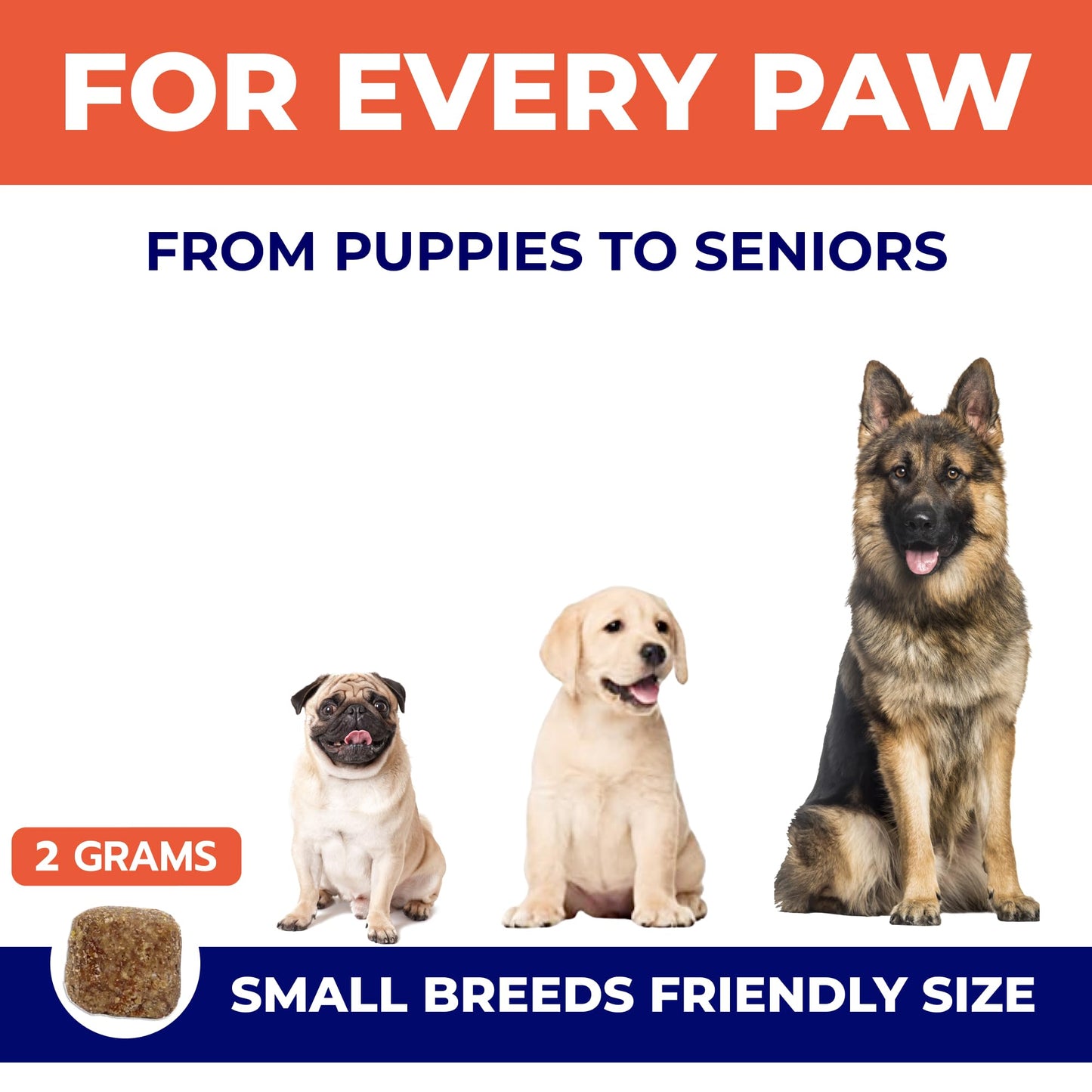 Omega 3 Fish Oil for Dogs (180 Ct) - Skin & Coat Chews - Dry & Itchy Skin Relief + Allergy Support - Shiny Coats - EPA&DHA Fatty Acids - Natural Salmon Oil Chews Promotes Heart, Hip & Joint Support