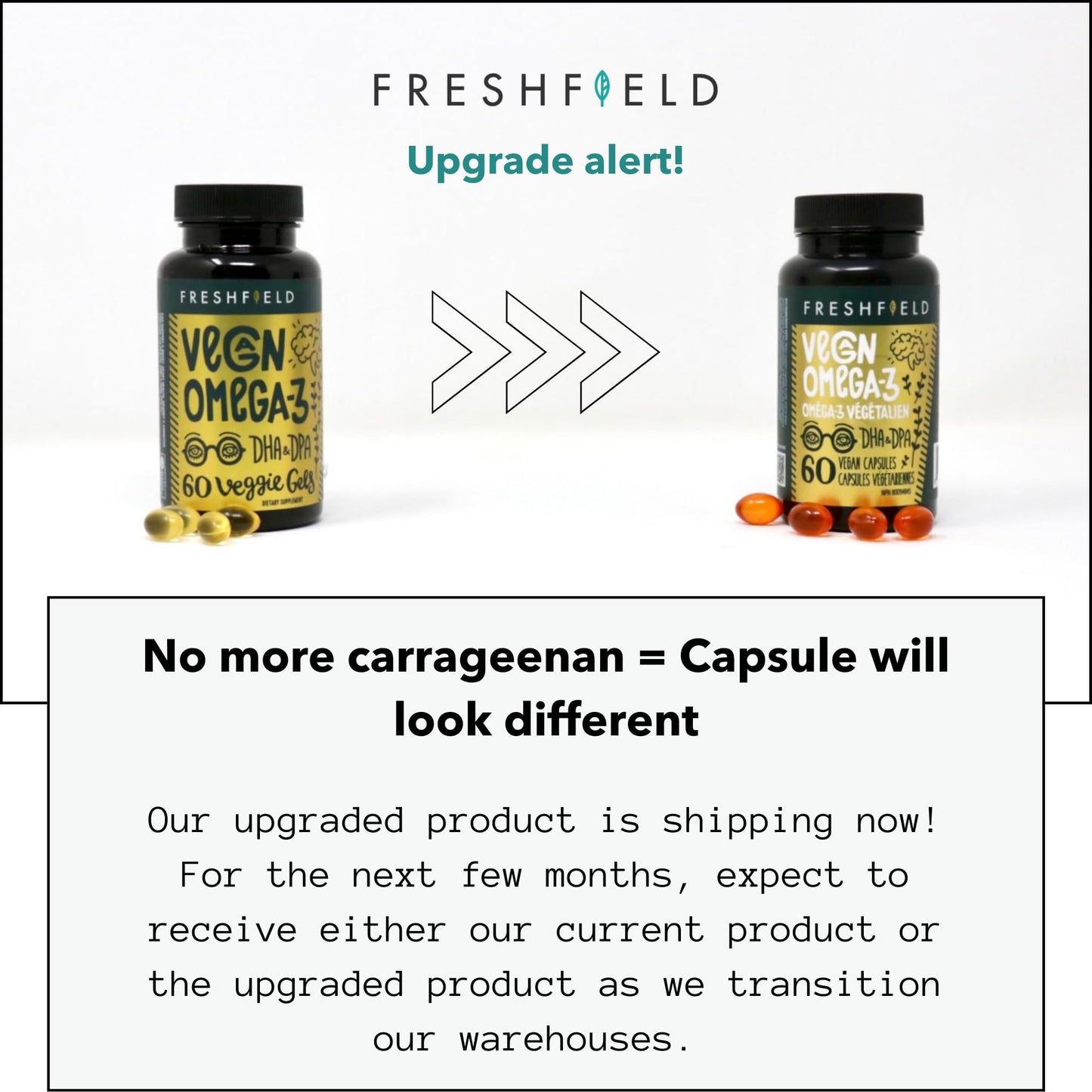 Freshfield Vegan Omega 3 DHA: Sustainably Sourced, Premium, Carrageenan Free, Compostable Bottle, Fish Oil Replacement, Carbon Neutral. Supports Heart, Brain, Joint Health w/DPA (60)