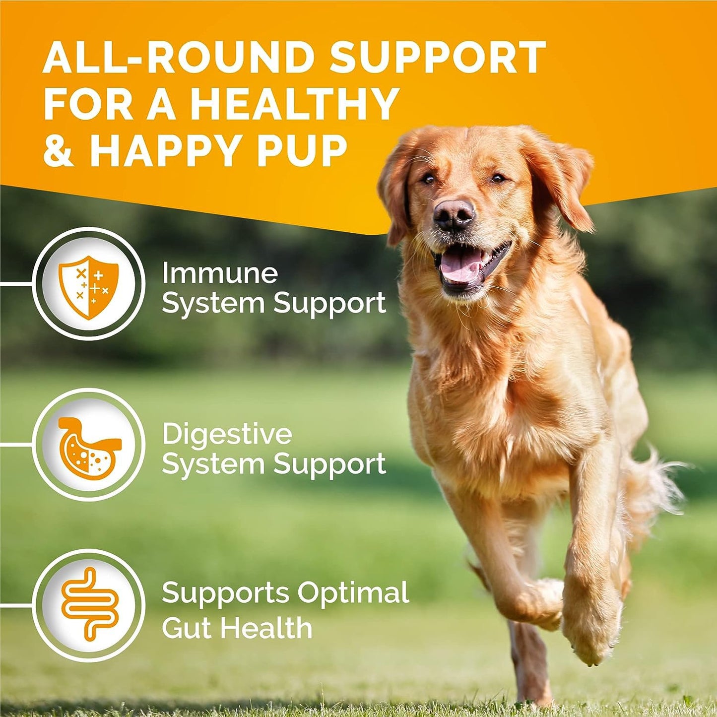 Premium Care Itch Relief for Dogs - 120 Allergy Chews for Dogs - Anti Itch Seasonal Support for Pets Itchy Skin Relief Skin Health Support with Colostrum, Vitamin C, Omega and Bee Pollen