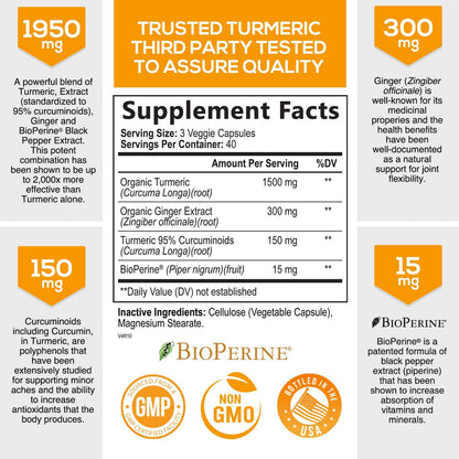 Turmeric Curcumin with BioPerine & Ginger 95% Curcuminoids 1950mg - Black Pepper Extract for Max Absorption, Nature's Joint Support Supplement, Herbal Turmeric Pills, Vegan Non-GMO - 120 Capsules