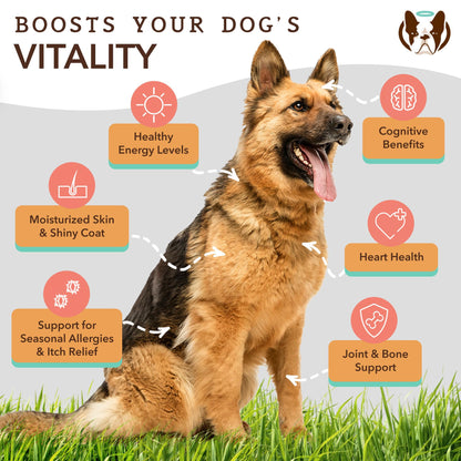 Natural Dog Company Pure Wild Alaskan Salmon Oil for Dogs (16oz) Skin & Coat Supplement for Dogs, Dog Oil for Food with Essential Fatty Acids, Fish Oil Pump for Dogs, Omega 3 Fish Oil for Dogs