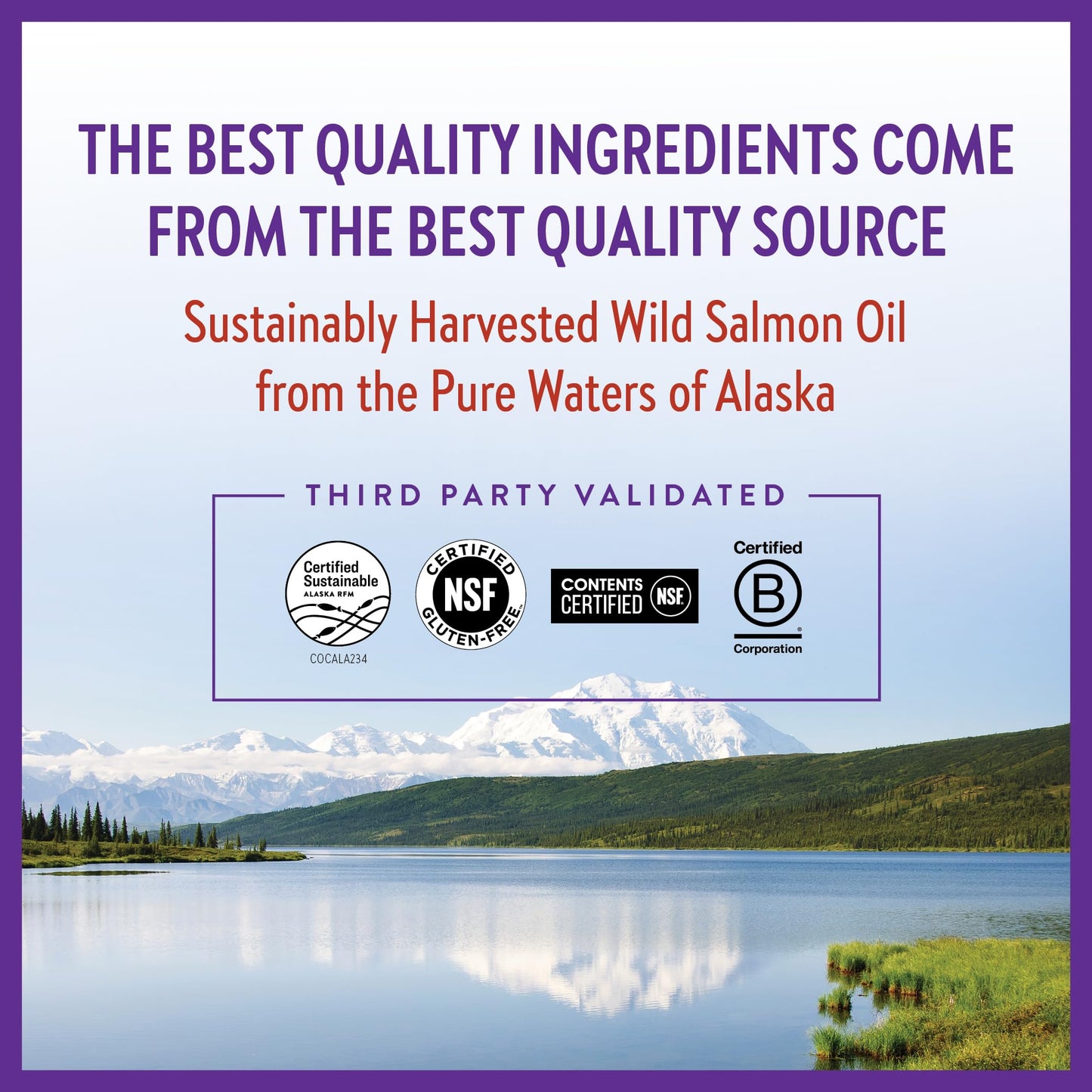 New Chapter Wholemega Fish Oil Supplement - Wild Alaskan Salmon Oil with Omega-3 + Vitamin D3 + Astaxanthin + Sustainably Caught - 180 ct, 1000mg Softgels