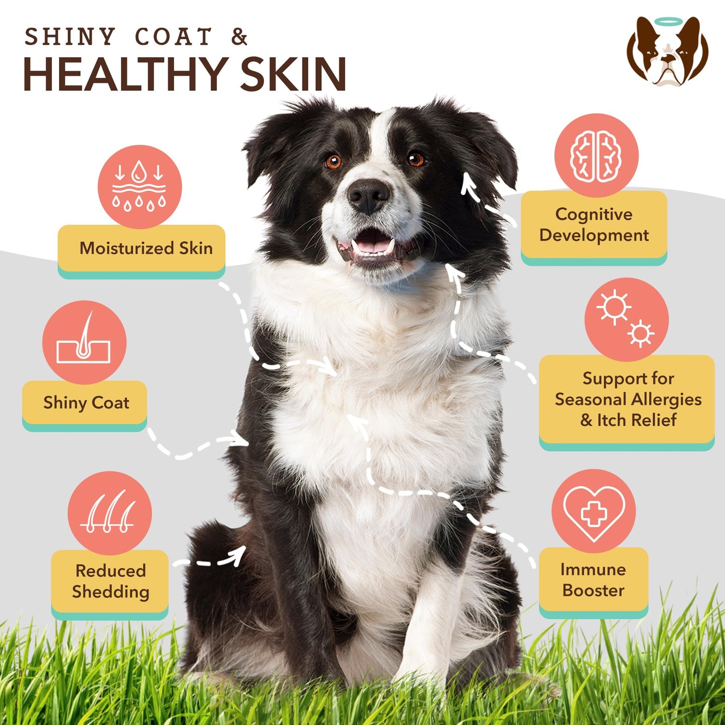 Natural Dog Company Skin & Coat Chews, Salmon & Peas Flavor, Dog Vitamins and Supplements for Healthy Skin & Coat, Itch Relief for Dogs with Allergies, with Biotin, Vitamin E, Omega 3, Antioxidant